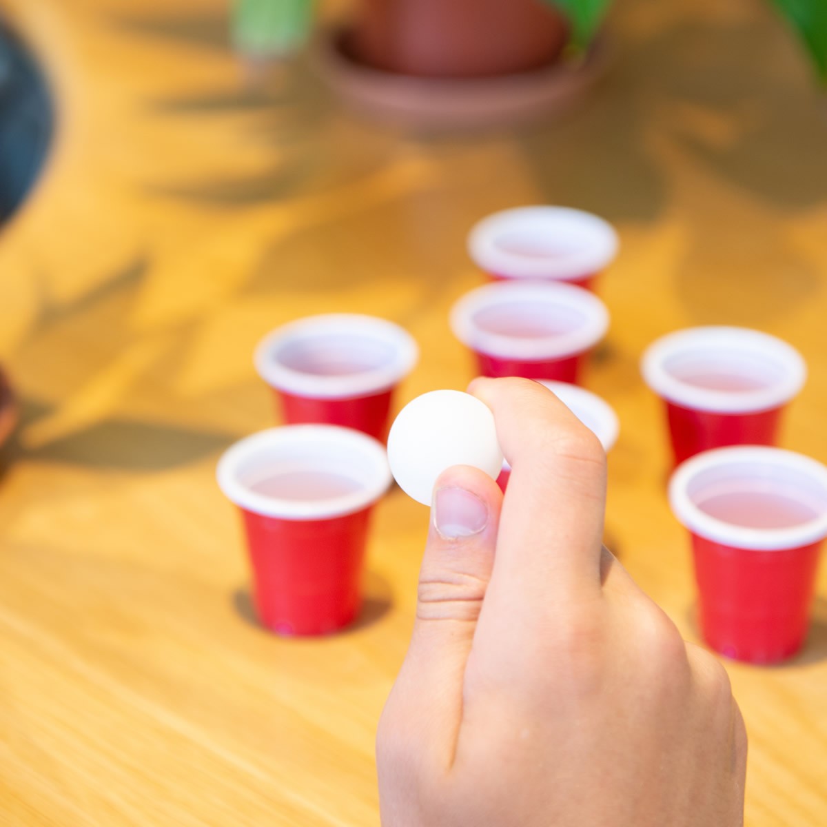 Mini Beer Pong